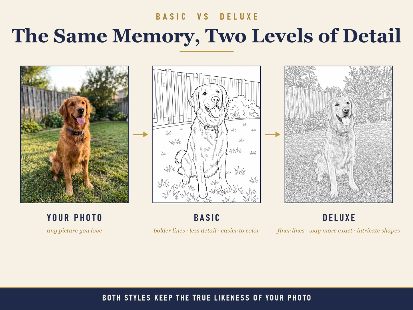 Basic vs Deluxe comparison — dog portrait: your photo, Basic bolder lines, Deluxe finer detail