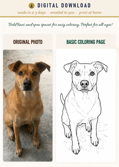 Custom pet portrait line art from your photo — digital download